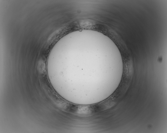 X0000116300705200912211901