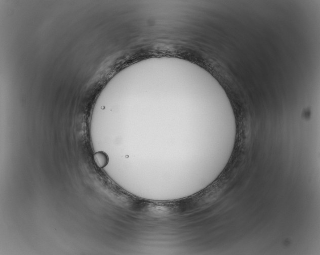 X0000116300706200912211901