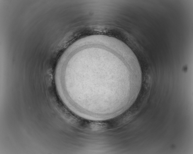 X0000116300707200912211901