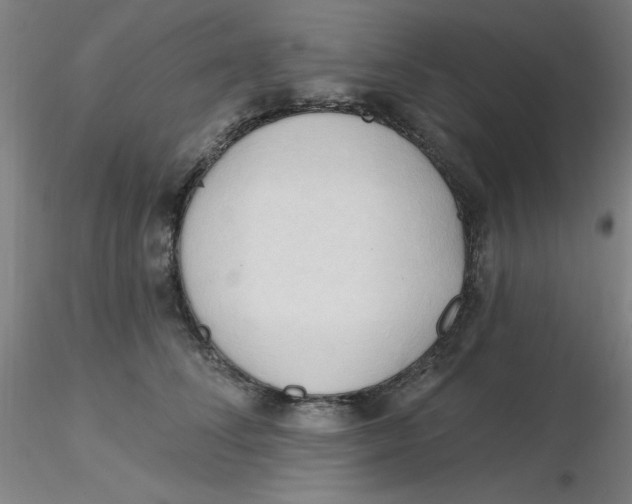 X0000116300708200912211901