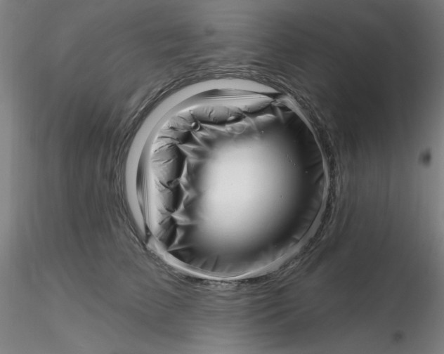 X0000116300709200912211901