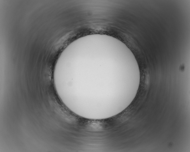 X0000116300710200912211901