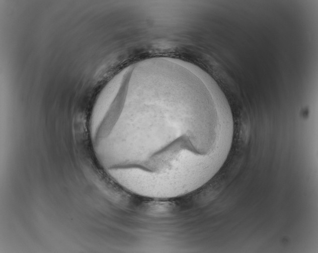 X0000116300711200912211901