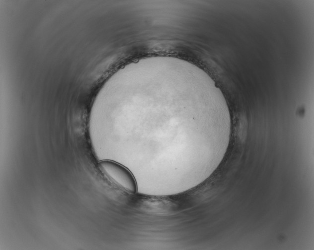 X0000116300712200912211901