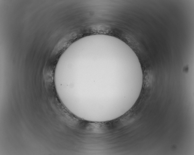 X0000116300713200912211901