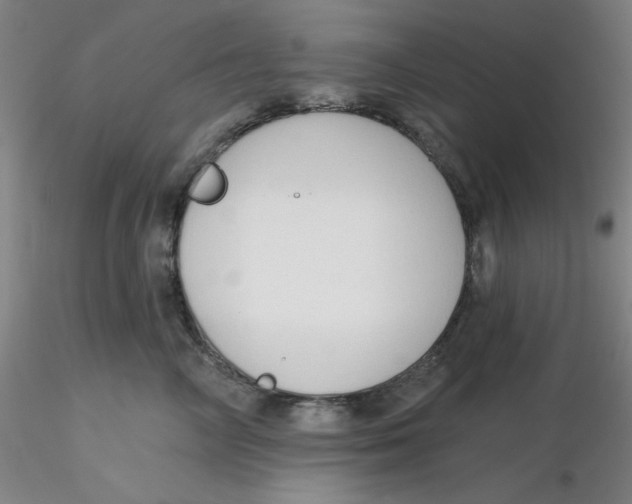 X0000116300714200912211901