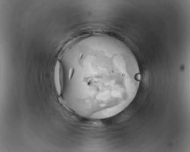 X0000116300715200912211901