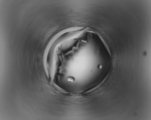 X0000116300716200912211901