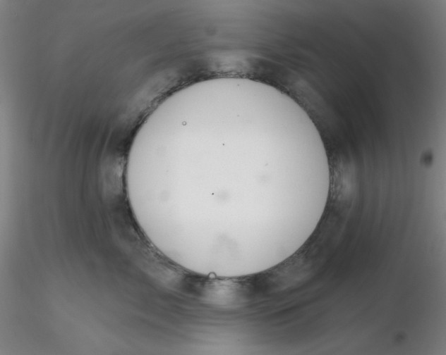 X0000116300717200912211901