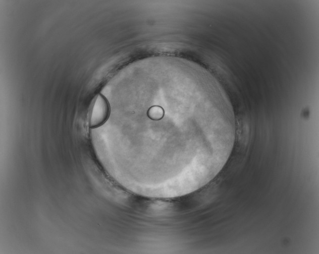 X0000116300718200912211901