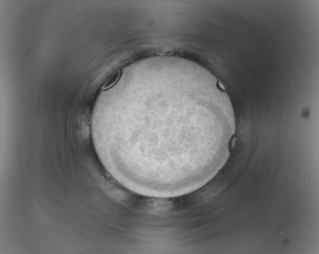 X0000116300719200912211901