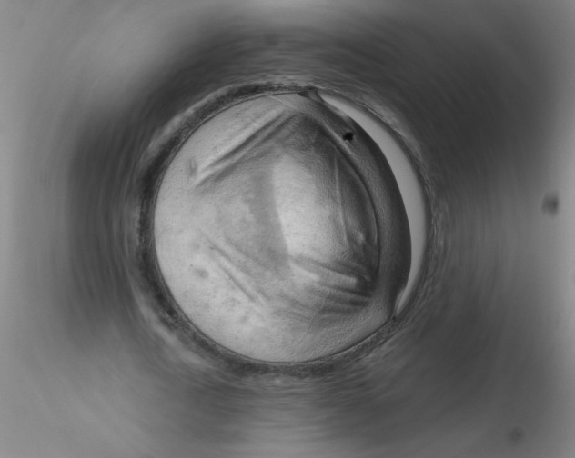 X0000116300722200912211901