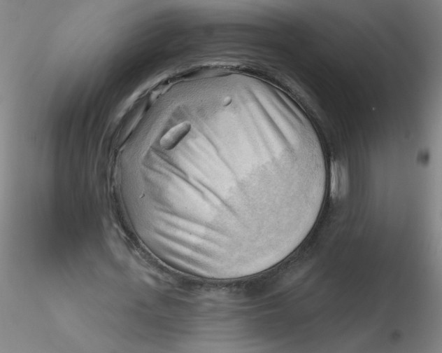 X0000116300723200912211901