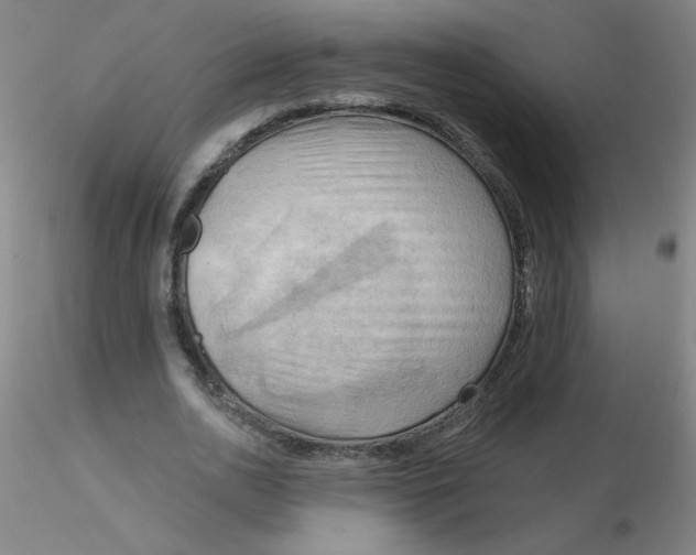 X0000116300726200912211901