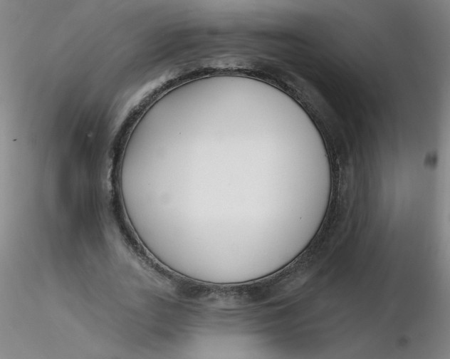 X0000116300727200912211901