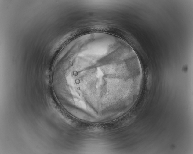 X0000116300729200912211901