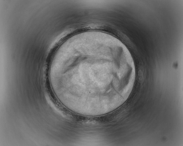 X0000116300730200912211901