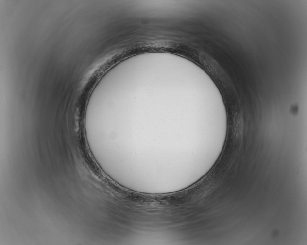 X0000116300731200912211901