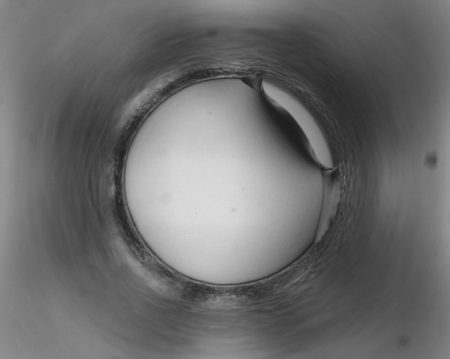 X0000116300734200912211901