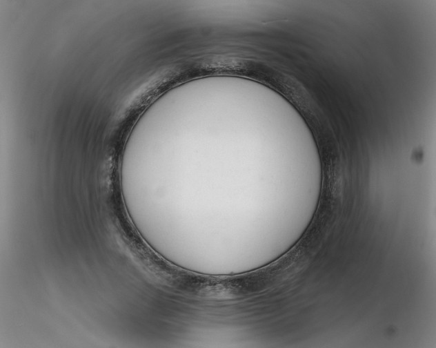 X0000116300735200912211901