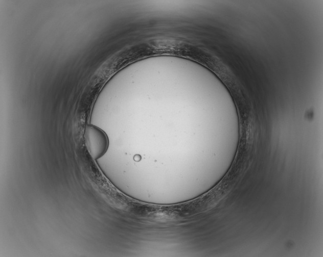 X0000116300737200912211901