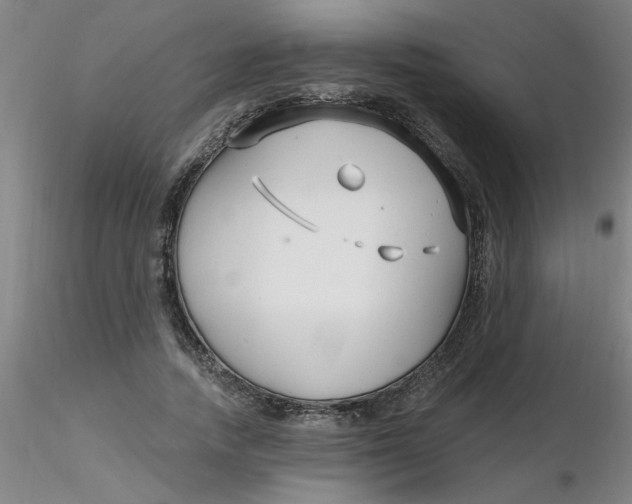 X0000116300738200912211901