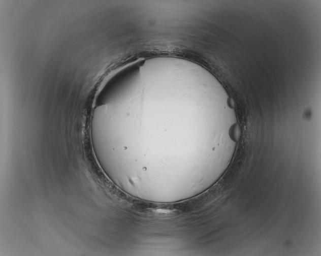 X0000116300739200912211901