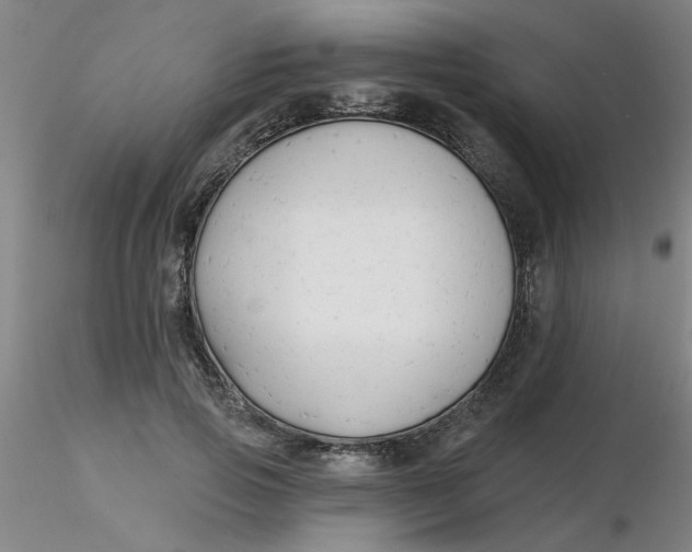 X0000116300741200912211901