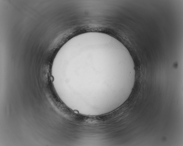 X0000116300742200912211901