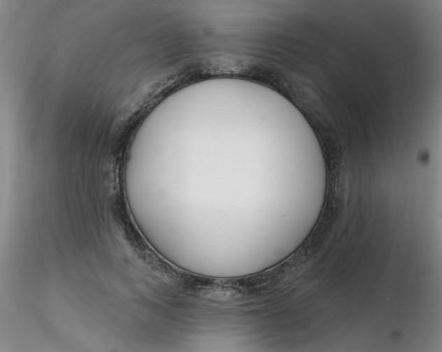 X0000116300743200912211901