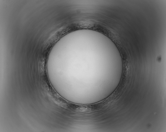 X0000116300745200912211901