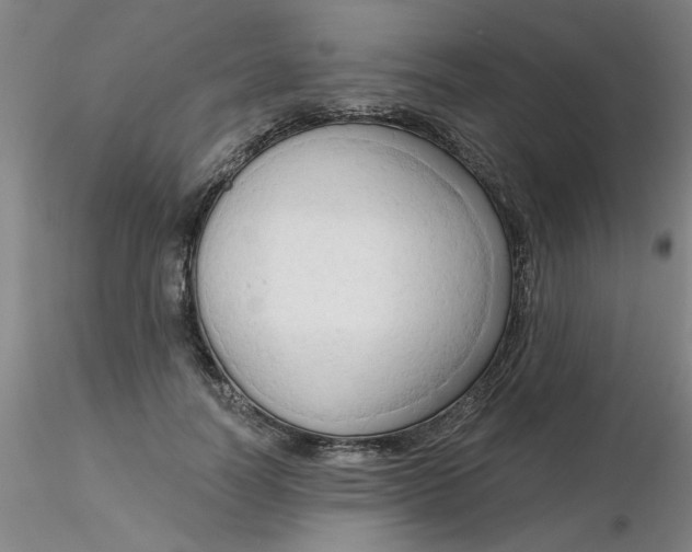 X0000116300746200912211901