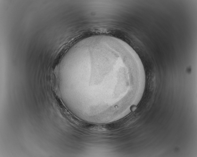 X0000116300747200912211901