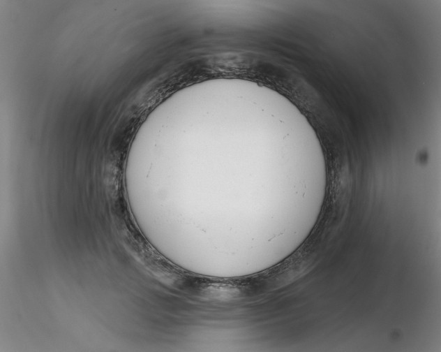 X0000116300749200912211901