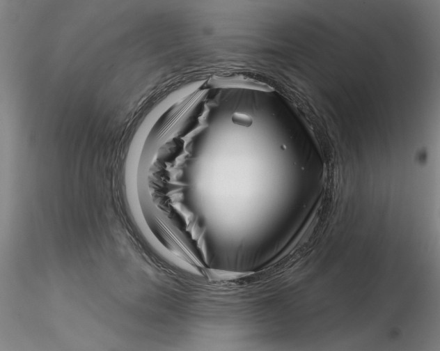 X0000116300750200912211901