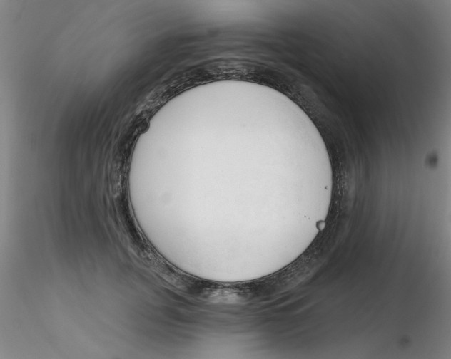 X0000116300751200912211901