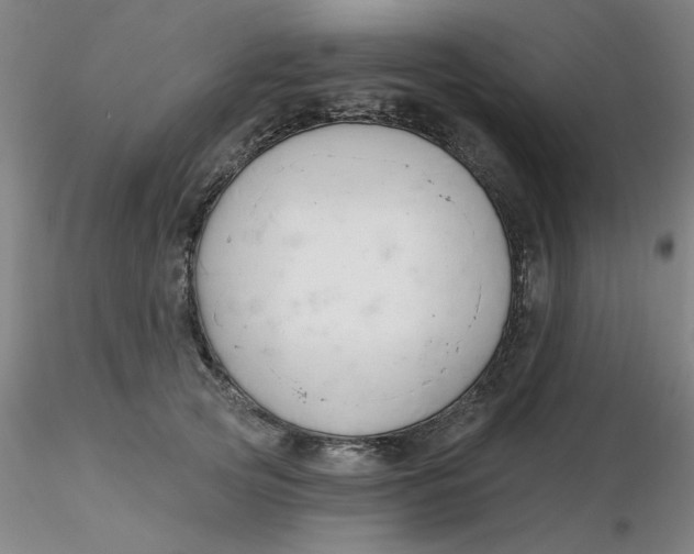 X0000116300753200912211901