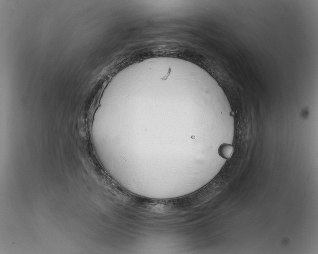 X0000116300755200912211901