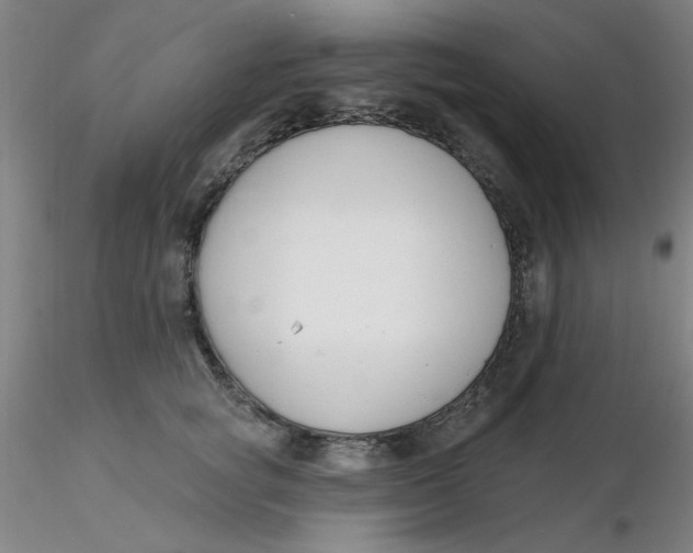 X0000116300757200912211901