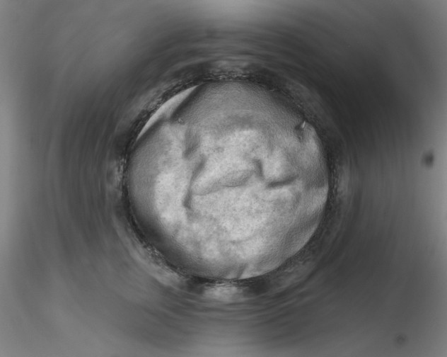 X0000116300759200912211901