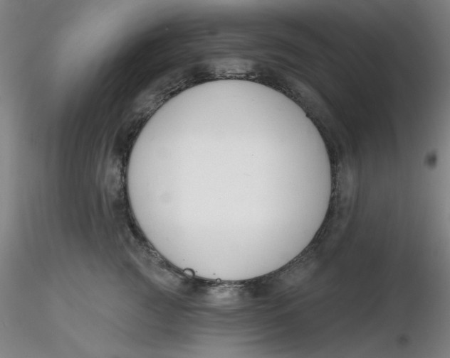 X0000116300761200912211901