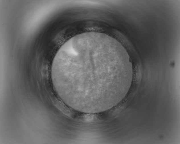 X0000116300762200912211901