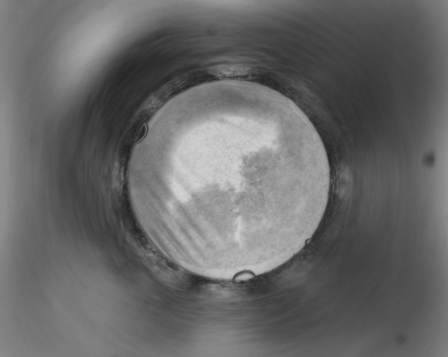 X0000116300763200912211901