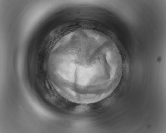 X0000116300765200912211901