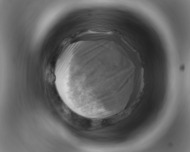 X0000116300766200912211901