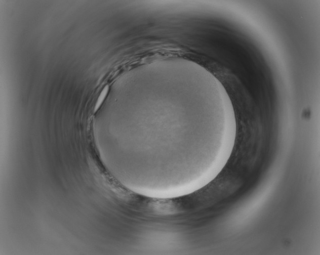 X0000116300767200912211901