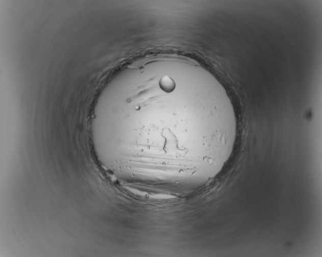 X0000116300769200912211901