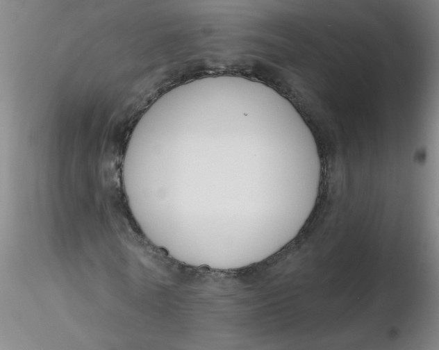 X0000116300770200912211901