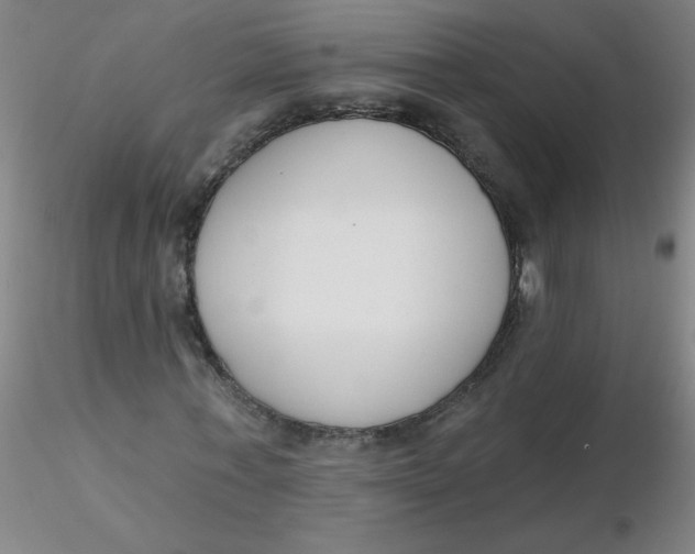 X0000116300771200912211901