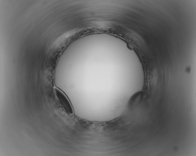 X0000116300773200912211901